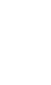 bunny lines