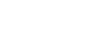 gummy smile